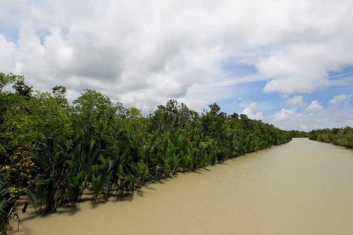 SUNDARBAN
