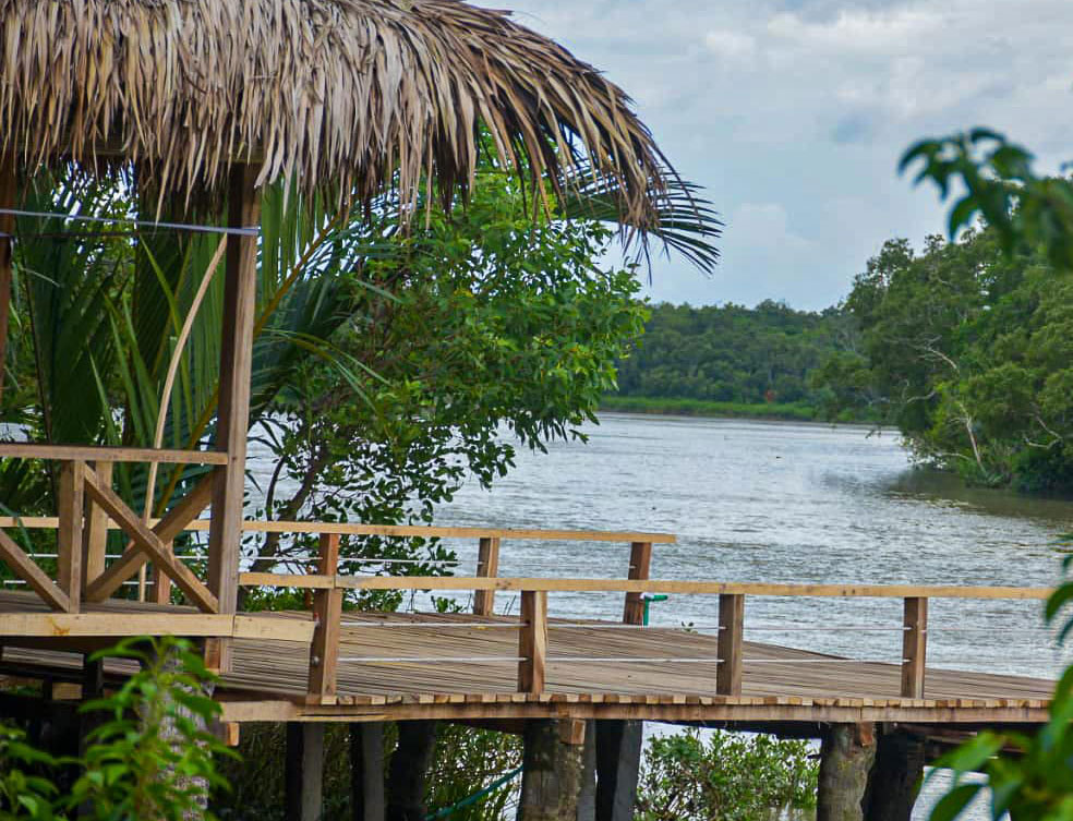 Bonobibi Forest Resort