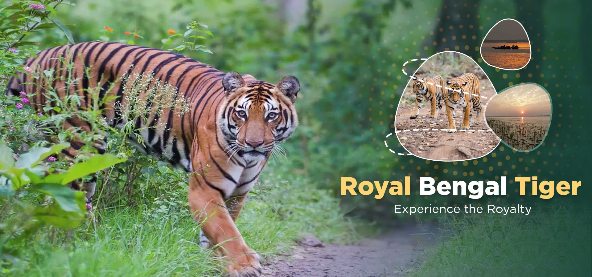 Sundarban Tour Package
