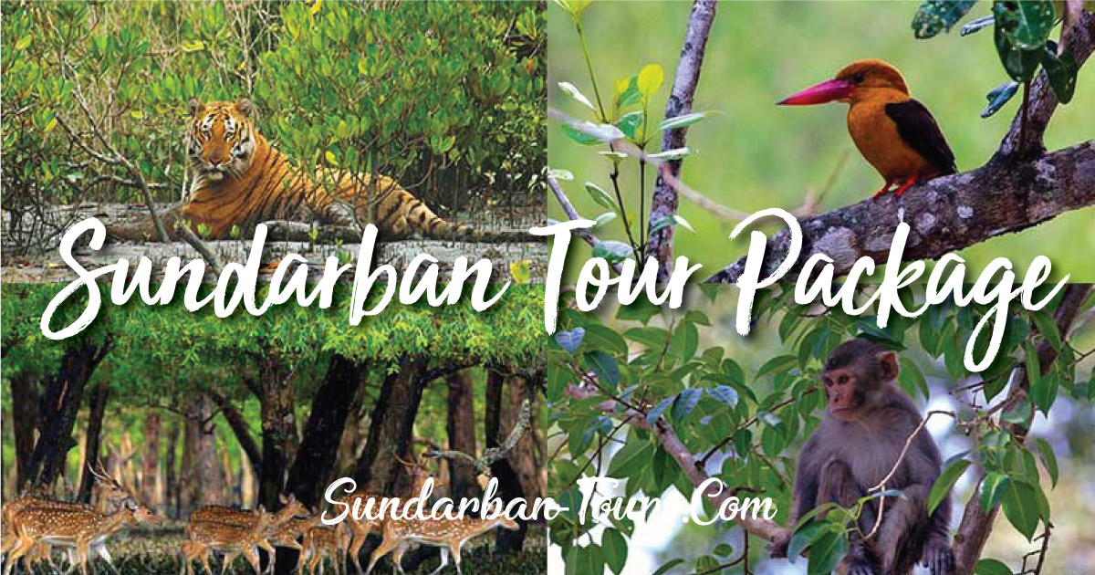 Sundarban Tour Package (2 Nights & 3 Days)